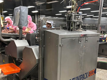 自动切块装罐机